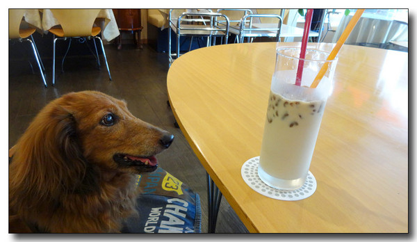 20140701122809.JPG