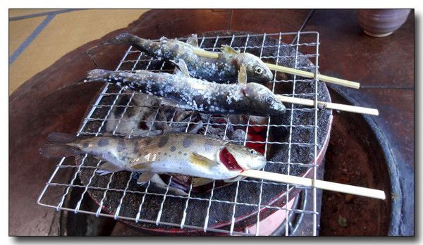 20140519194040.JPG