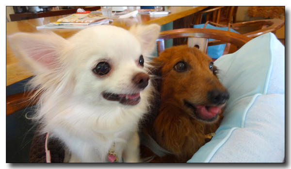 20140520225721.JPG