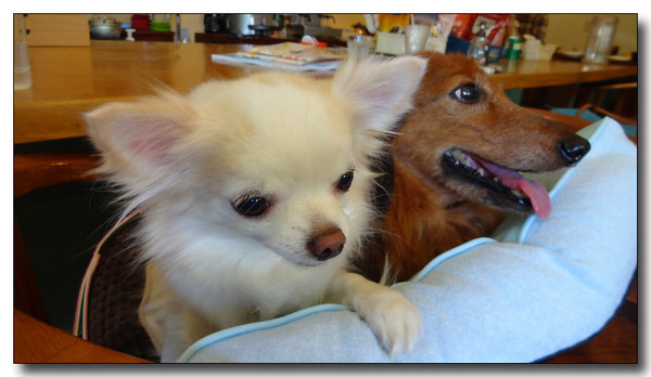 20140520225801.JPG