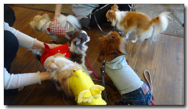 20140520231539.JPG