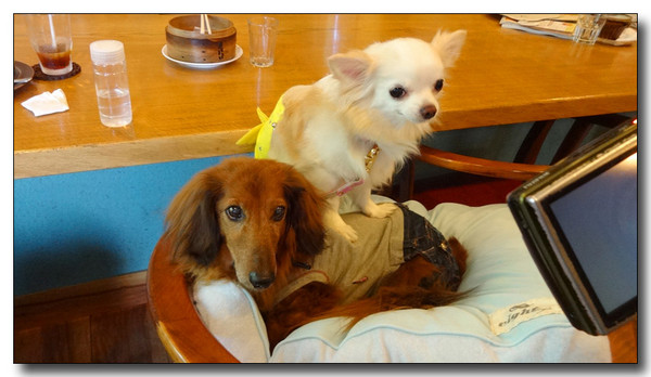 20140520231739.JPG