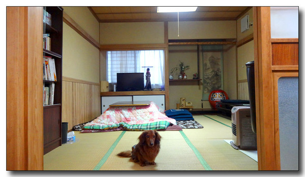 20140528114137.JPG