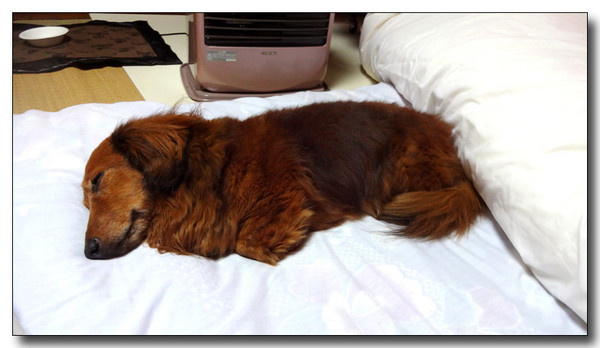 20140528114201.JPG