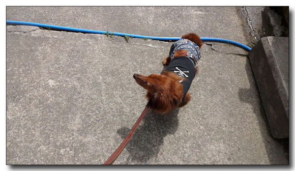 20140528114751.JPG