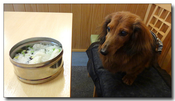 20140528130318.JPG