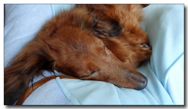 20140602115551.JPG