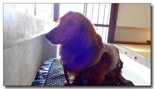 20140603013721.JPG