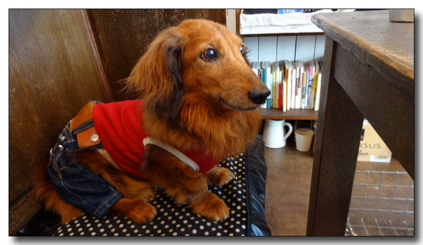 20140603130733.JPG