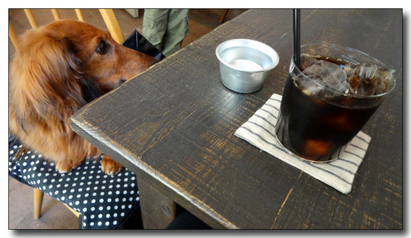 20140603130736.JPG