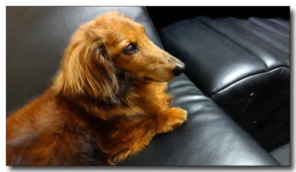 20140604155635.JPG