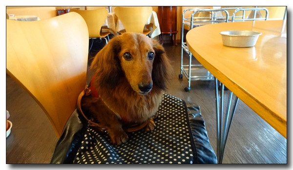 20140604161034.JPG