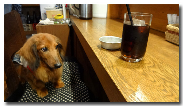 20140609113252.JPG