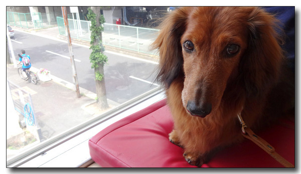 20140609120014.JPG