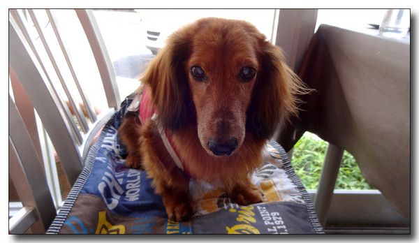 20140609141919.JPG