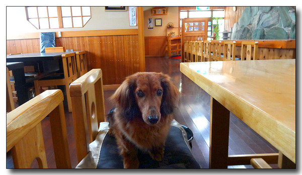 20140614082630.JPG