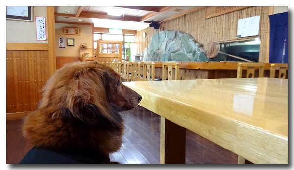 20140614082631.JPG