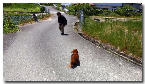 20140616154944.JPG