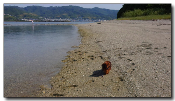 20140622054742.JPG