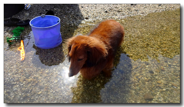 20140622054935.JPG
