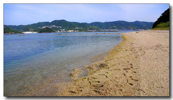 20140622054955.JPG