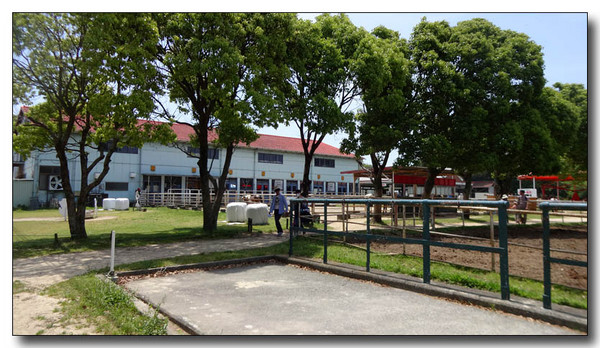 20140623044709.JPG
