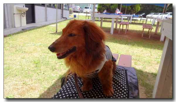 20140623044843.JPG