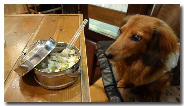 20140701140736.JPG