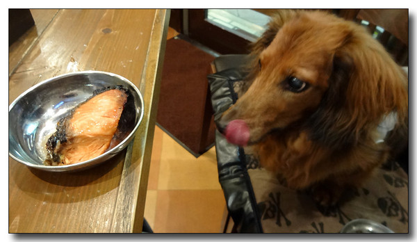 20140701140759.JPG