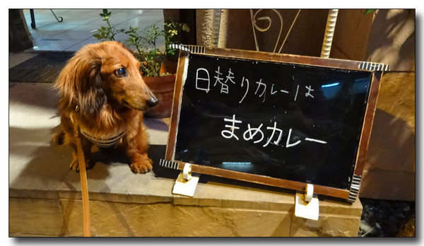 20140701145106.JPG