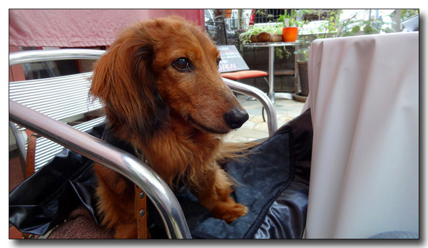 20140703005030.JPG