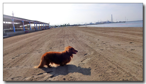20140704100006.JPG