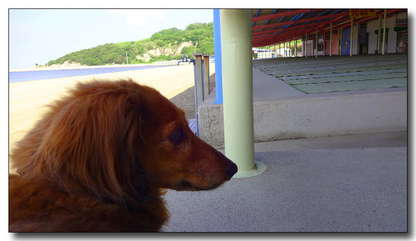 20140704100102.JPG