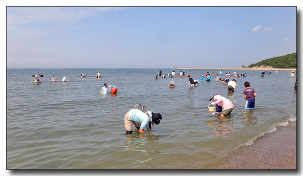 20140704100823.JPG