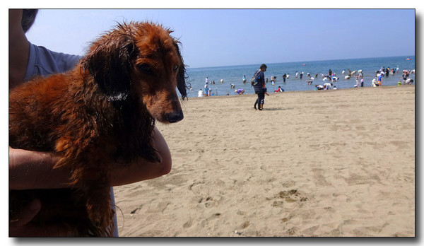 20140704100947.JPG