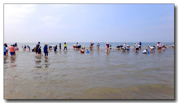 20140704102414.JPG