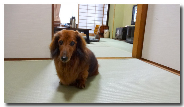 20140710170016.JPG