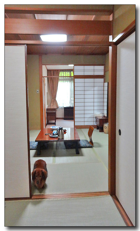 20140710170233.JPG
