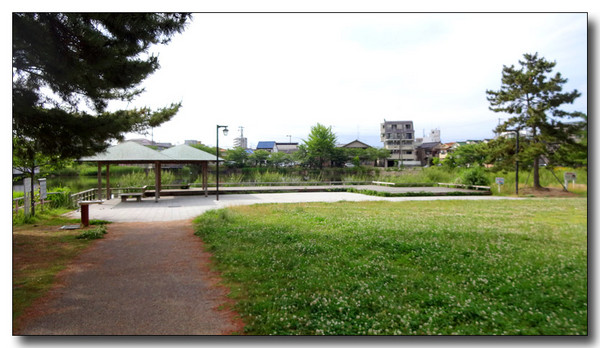 20140711102410.JPG