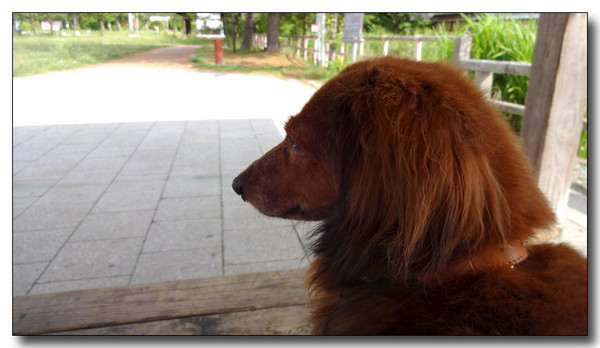 20140711102444.JPG