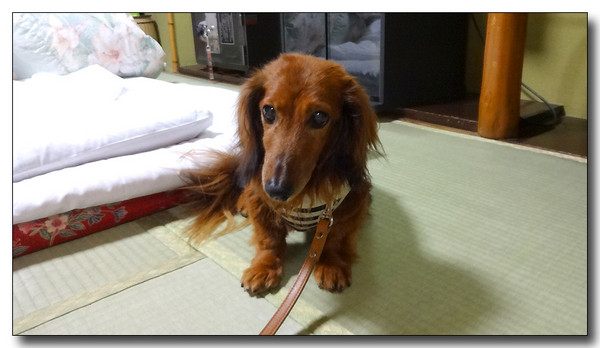 20140711102448.JPG