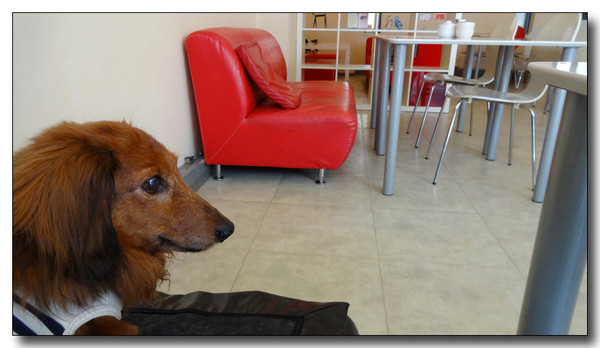 20140712145436.JPG