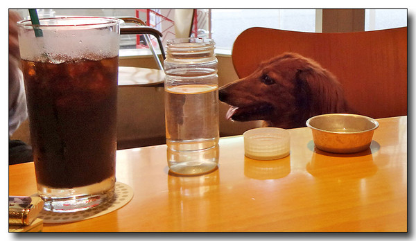 20140714044917.JPG