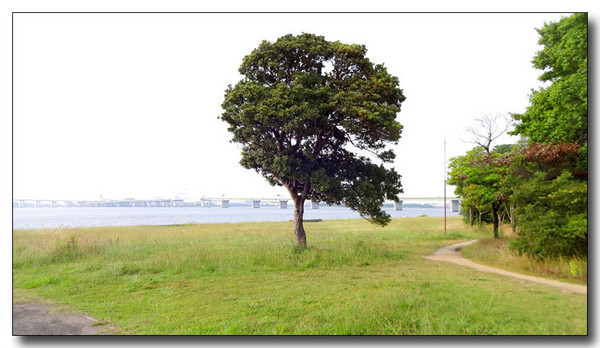 20140714045119.JPG