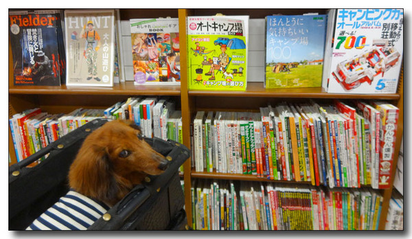 20140714050621.JPG