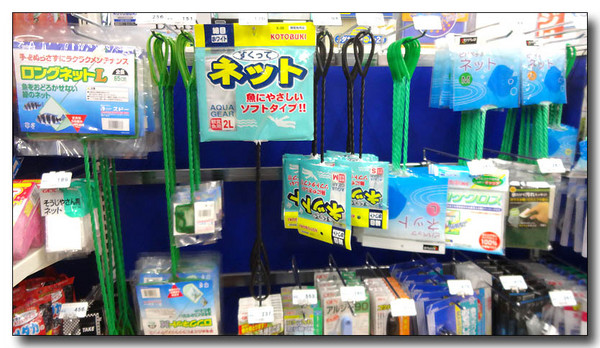 20140801071019.JPG