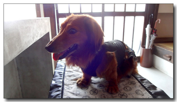 20140801124330.JPG