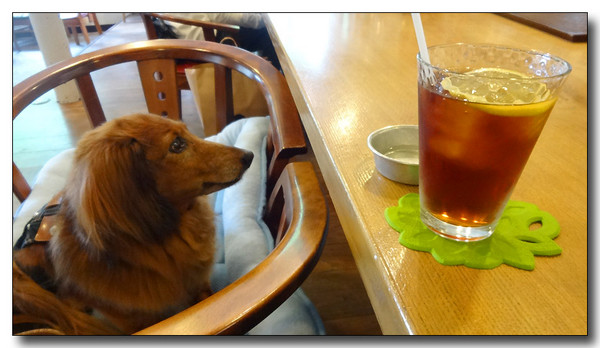 20140802125127.JPG