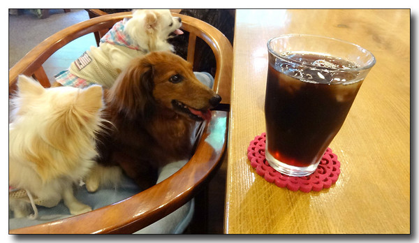 20140802125226.JPG