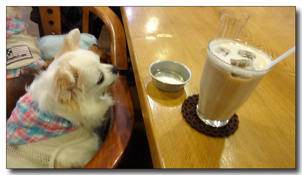 20140802130036.JPG